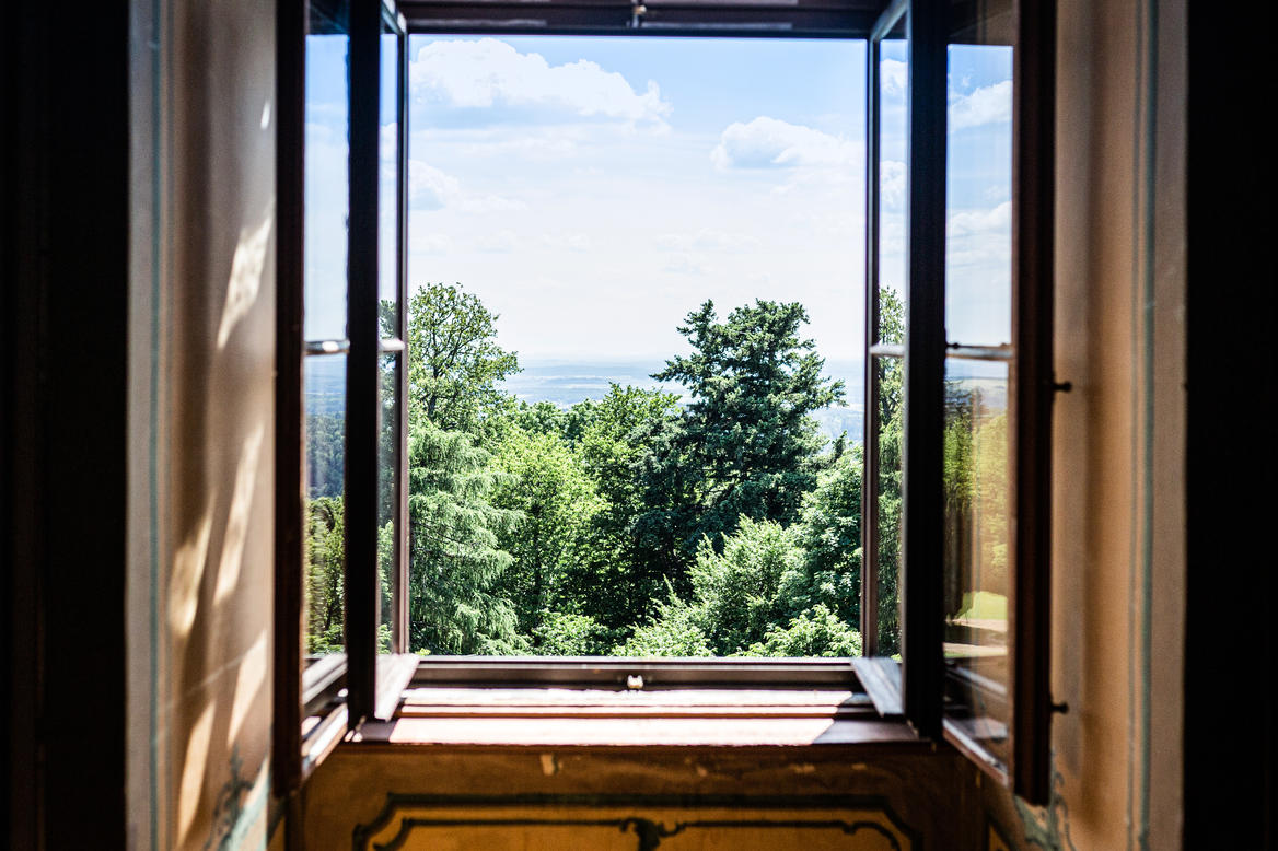 Blick durch ein geöffnetes Holzfenster nach Süden über die Baumkronen im Sommer